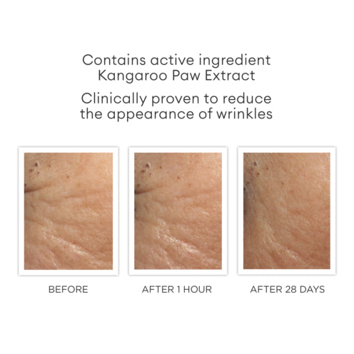 Pure Perfection Primer